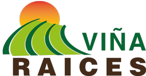 Logo GO ViñaRaíces