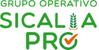 Logo GO SICALIA PRO