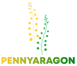 Logo GO Pennyaragon