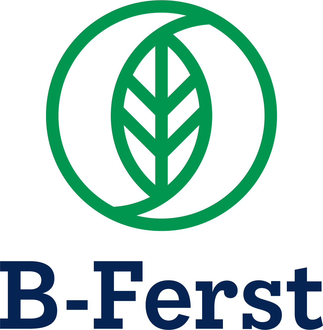 proyecto horizonte b-ferst
