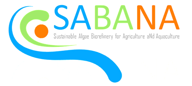 logo proyecto horizonte sabana