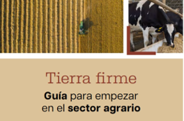 Imagen de un campo y unas vacas